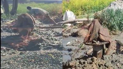  टीकाथलीमा पानीका लागि बोरिङ गाडेको ठाउँबाट आगो निस्कियो 